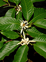 %_tempFileName02-20070428-0249%