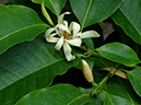 %_tempFileName03-20070428-0250%