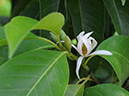 %_tempFileName05-20080506-0192%