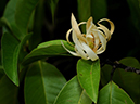 %_tempFileName09-20101211-0263%