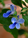 %_tempFileName04-20051113-0222%