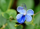 %_tempFileName05-20060618-0182%