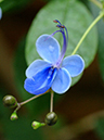 %_tempFileName08-20070127-0271%