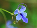 %_tempFileName10-20111010-0171%