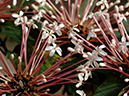 %_tempFileName01-20070107-0167%
