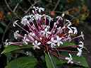 %_tempFileName05-20080127-0277%