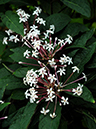 %_tempFileName08-20100130-0140%