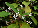 %_tempFileName09-20110122-0156%