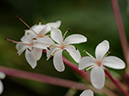 %_tempFileName10-20120129-0342%