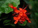 %_tempFileName01-20091122-0270%