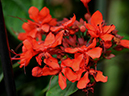 %_tempFileName03-20100322-0590%