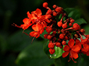%_tempFileName04-20101121-0258%