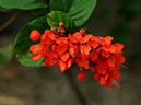 %_tempFileName05-20101121-0260%