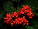 %_tempFileName06-20101211-0261%