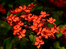 %_tempFileName07-20141124-0126%