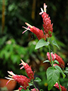 %_tempFileName03-20081124-0217%
