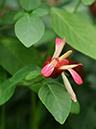%_tempFileName05-20091129-0192%