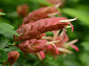 %_tempFileName09-20120506-0154%
