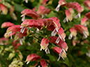 %_tempFileName10-20130302-0164%