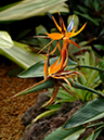 %_tempFileName01-20070107-0165%