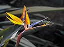 %_tempFileName03-20080105-0105%