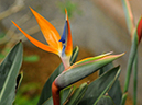 %_tempFileName04-20091122-0288%
