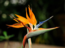 %_tempFileName05-20091122-0289%