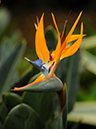 %_tempFileName06-20091122-0290%