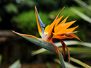 %_tempFileName07-20091129-0183%