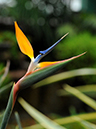 %_tempFileName08-20091129-0185%