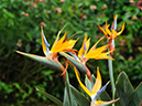 %_tempFileName09-20091129-0188%