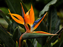 %_tempFileName10-20110205-0122%