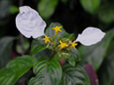 %_tempFileName02-20080308-0210%