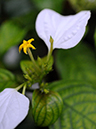 %_tempFileName04-20080320-0212%