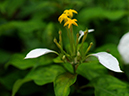 %_tempFileName07-20090628-0262%