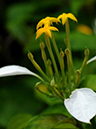 %_tempFileName08-20090628-0264%