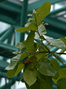 %_tempFileName04-20040320-0222%