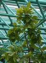 %_tempFileName05-20040320-0235%
