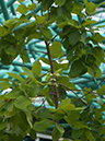 %_tempFileName06-20040320-0239%
