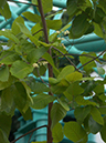 %_tempFileName07-20040320-0240%