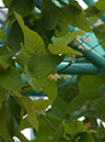 %_tempFileName08-20040320-0244%