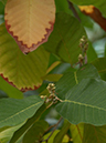 %_tempFileName12-20050205-0375%