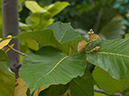 %_tempFileName15-20050205-0379%