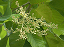 %_tempFileName21-20050212-0275%