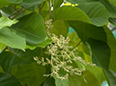 %_tempFileName22-20050212-0308%