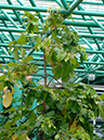%_tempFileName47-20050226-0019%