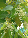 %_tempFileName48-20050226-0026%