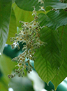 %_tempFileName50-20050226-0075%