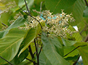 %_tempFileName52-20050226-0222%