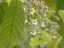 %_tempFileName64-20050226-0528%